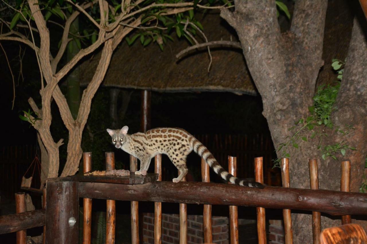 Bona Ngwenya Lodge & Safaris Марлот-Парк Екстер'єр фото
